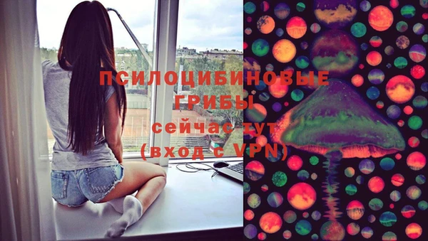герыч Дмитриев