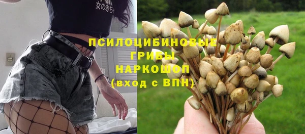 гашиш Дмитров