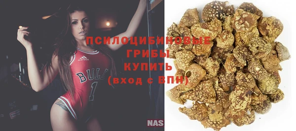 стафф Дмитровск