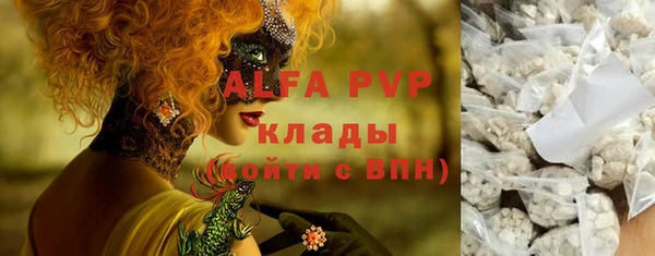 стафф Дмитровск