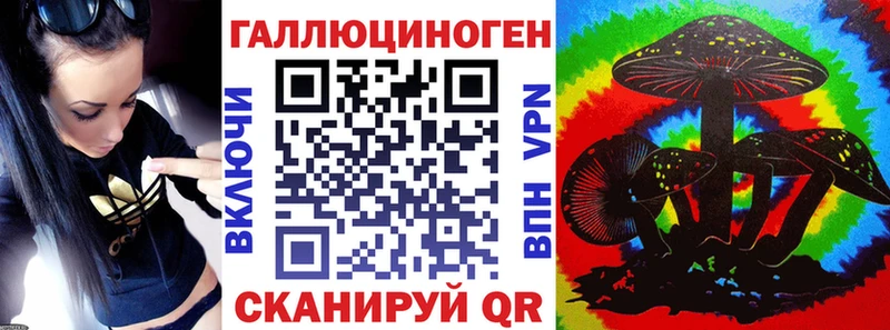 купить наркотики сайты  Майкоп  Галлюциногенные грибы Psilocybine cubensis 
